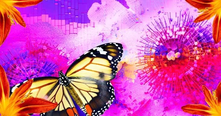 Pollinator Challenge