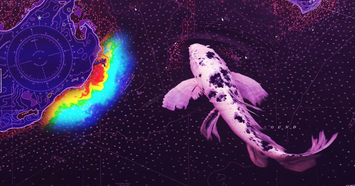 Save Our Dead Zones