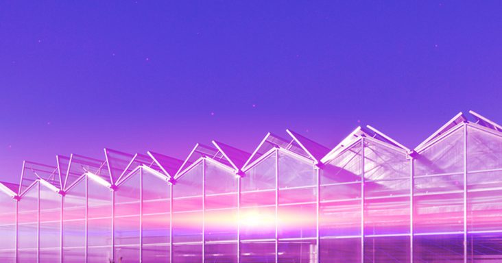Miniature Greenhouse