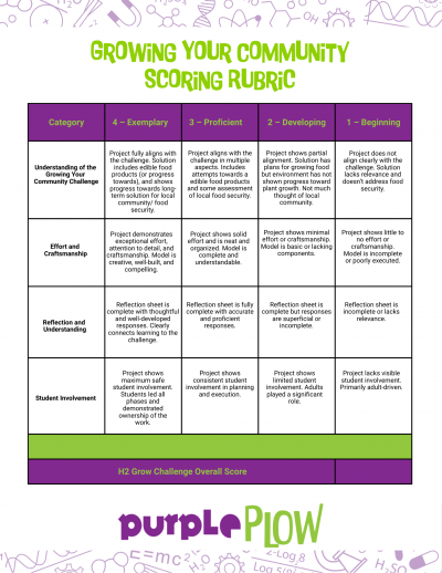 Challenge Rubric