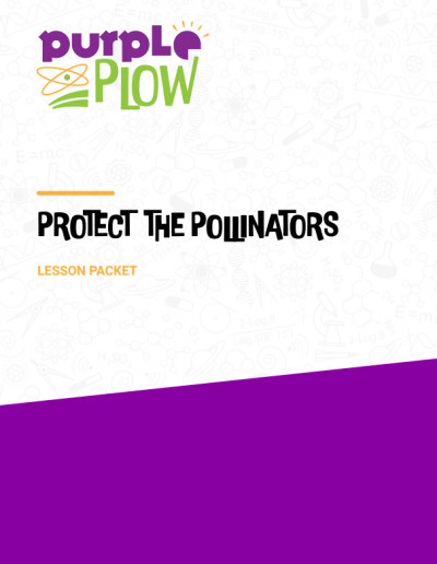 Lesson Packet