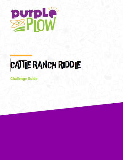 Challenge Guide