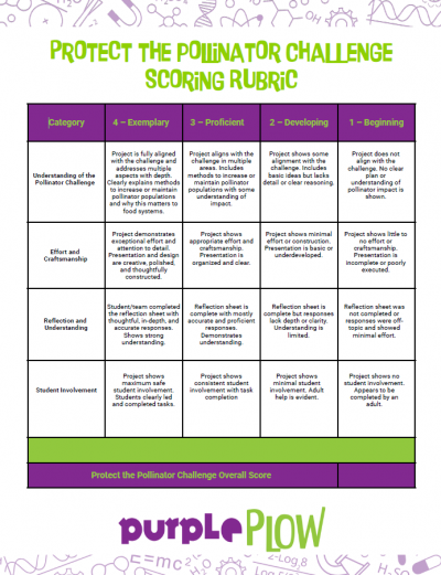 Judging Rubric