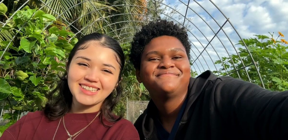 Get Inspired By Pollinator Challenge Winners | The Purple Plow Challenge